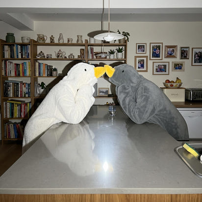 Snuggy Goose™
